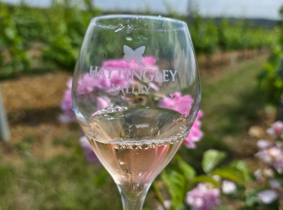 The Write Taste in-depth report on Hattingley Valley English wine